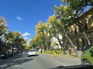 “Šišanje” Štrosmajerove ulice