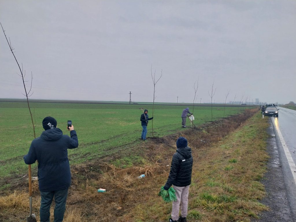 BRAVO! “Zelena oaza” uprkos kiši kompletirala drvored u Subotici