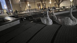 KUKAONICA: POLOVIČNA PRAZNIČNA IDILA: Gde se izgubilo svetlo na subotičkim labudovima?