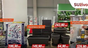 Gde je najjeftinije? Naš tim je pronašao najniže cene za vaše prolećno cveće – pogledajte uštede!