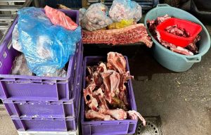 Subotička policija uhapsila vlasnika nelegalne klanice, oduzeto više od tone i po neispravnog mesa Subotička policija uhapsila vlasnika nelegalne klanice, oduzeto više od tone i po neispravnog mesa