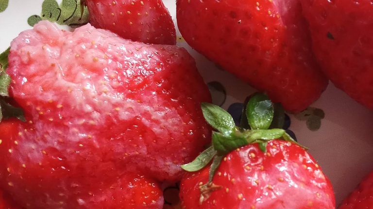 Pena na jagodama iz Sombora zabrinula kupce: “Mirisale na pesticid” | SUživo