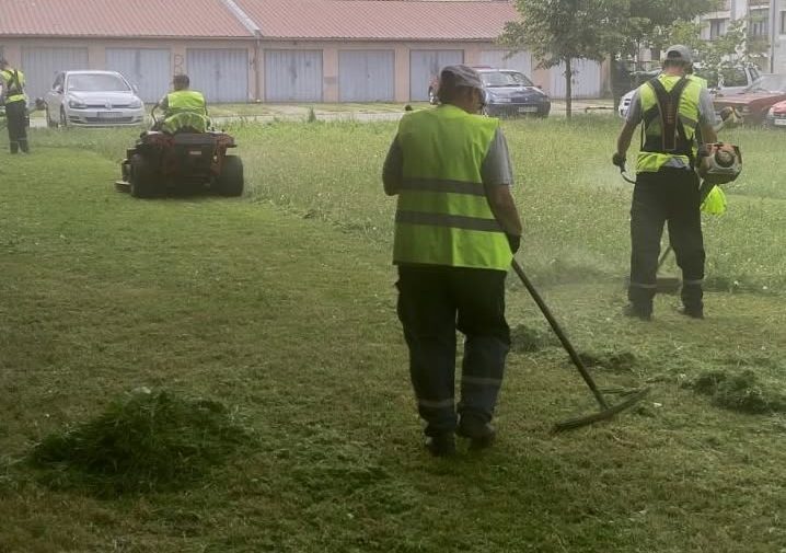 Uređenje naselja Prozivka: JKP „Čistoća i zelenilo”  kosi  travu