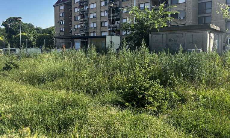 KUKAONICA: “Ovako izgleda takozvani park”
