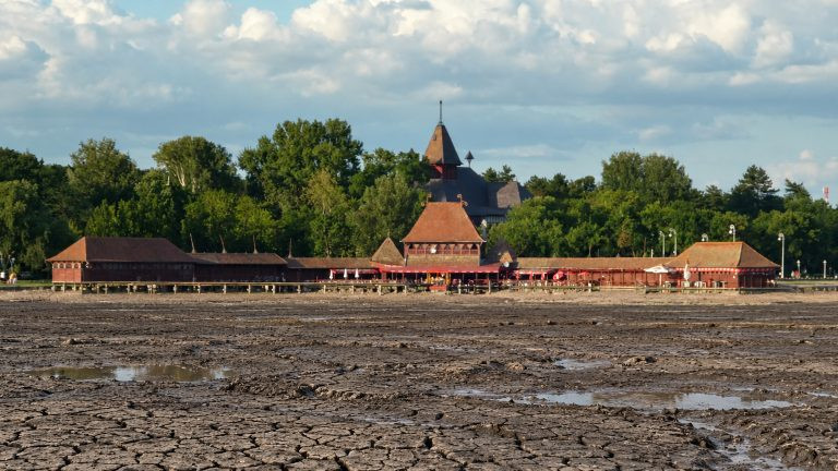 Od čuvenog kupališta do zelene bare: Može li Palićko jezero ponovo biti spaseno?